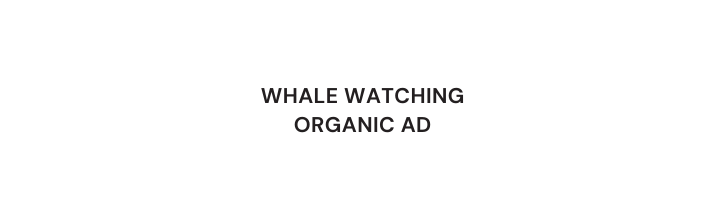 WHALE WATCHING ORGANIC AD